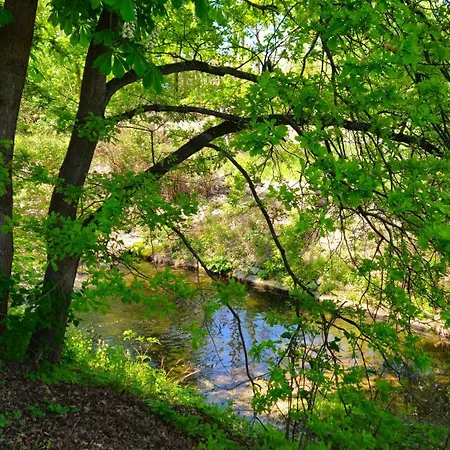 An Der Seidewitz - Keine Monteure