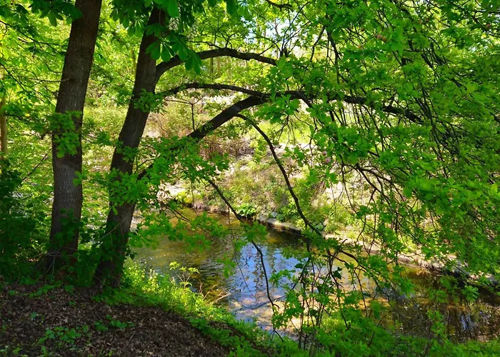 An Der Seidewitz - Keine Monteure